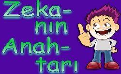 Zeka Kıvılcımları